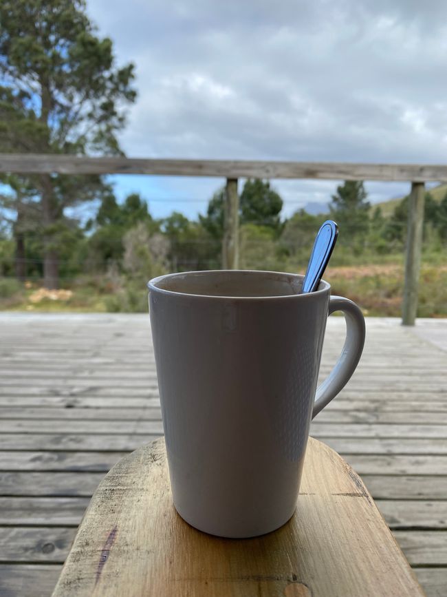 Nächster Stop AfriCamps