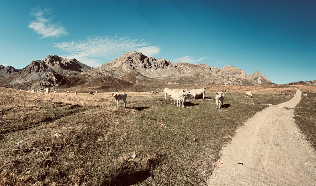 Wild West Feeling