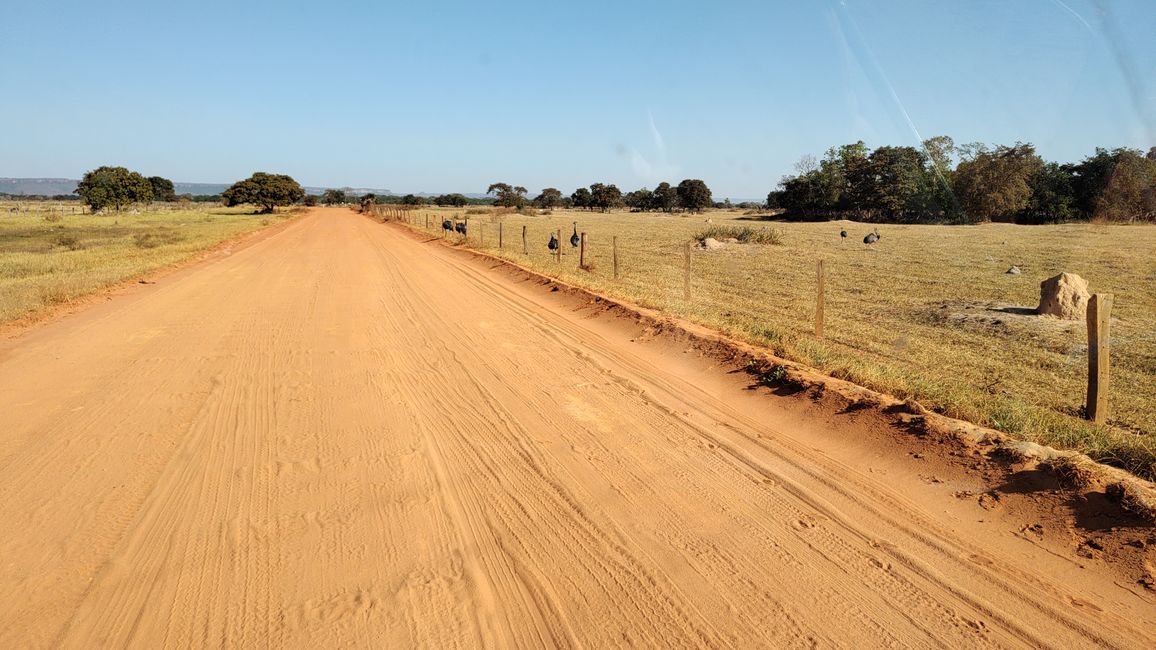 Brazil, Through the Pantanal