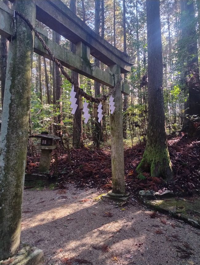 Santuario sintoísta en el bosque