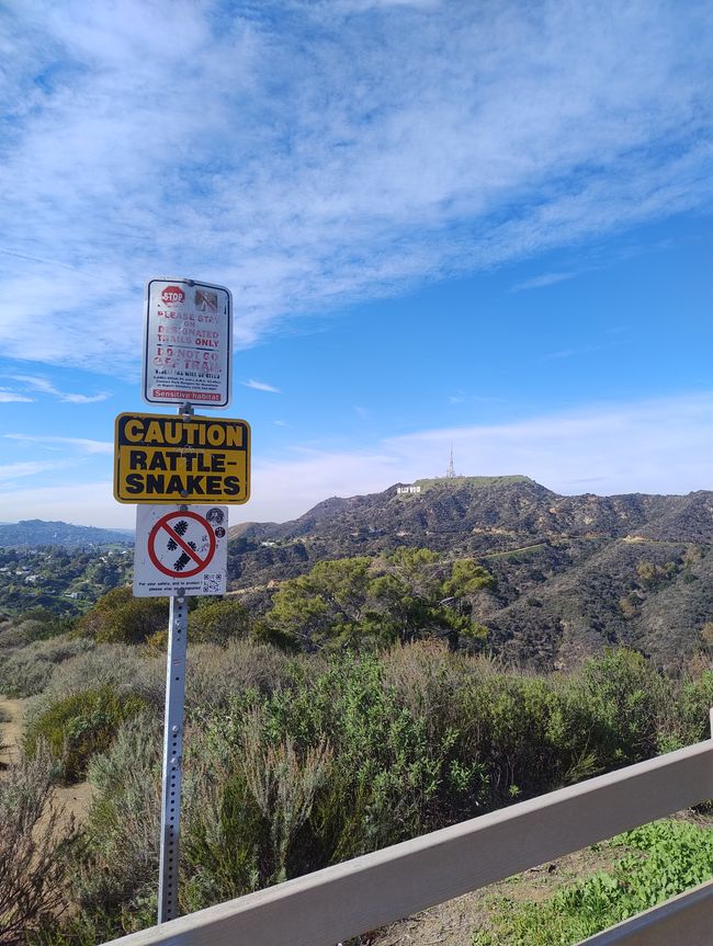 Hollywood Sign im Hintergrund, Klapperschlangen-Warnung im Vordergrund 