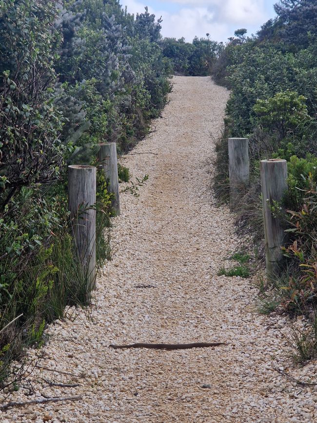 Schlange beim Sharp Point Lookout