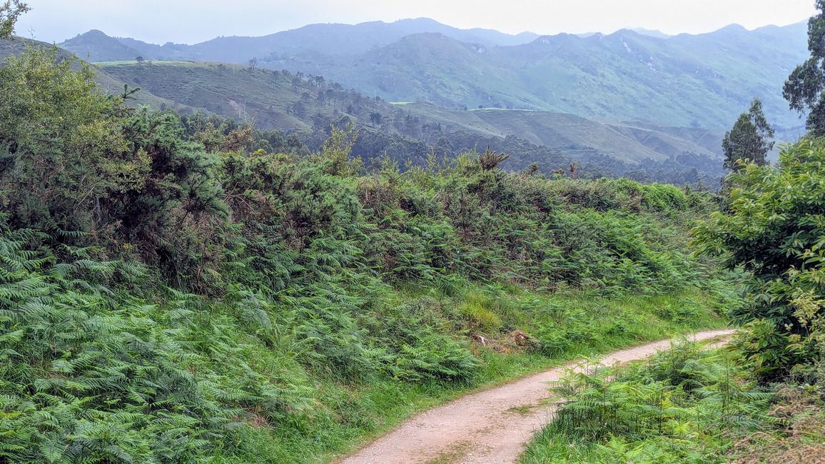 12. Etappe Camino del Norte von Pendueles nach Barro