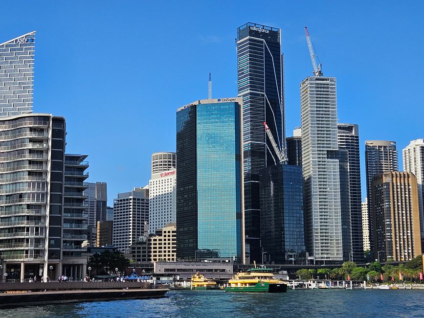 59th Day Sydney, Australia 22.01.2026