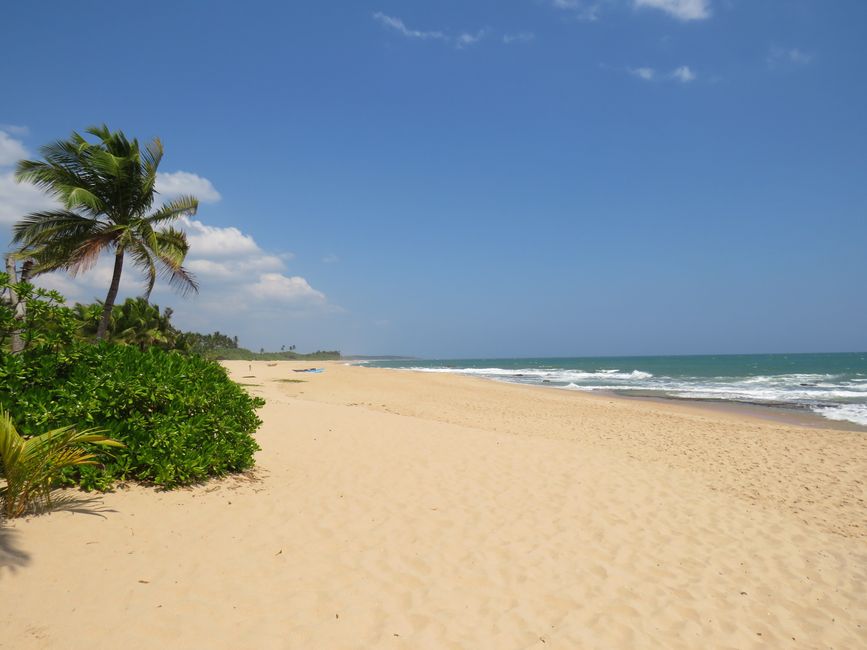 Tangalle - Folie de Plage