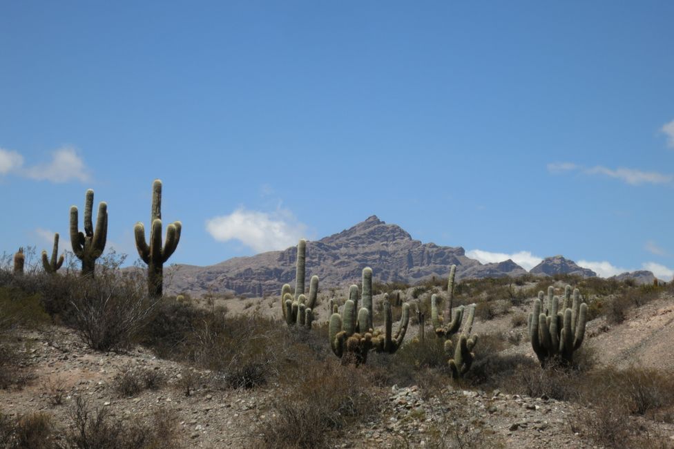 Southeast of Salta