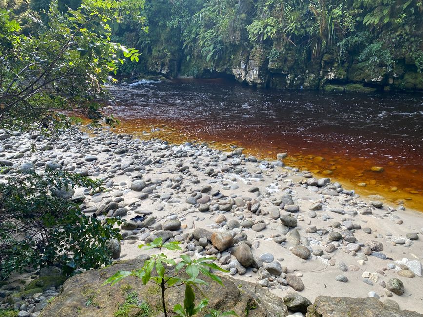 Verso Karamea