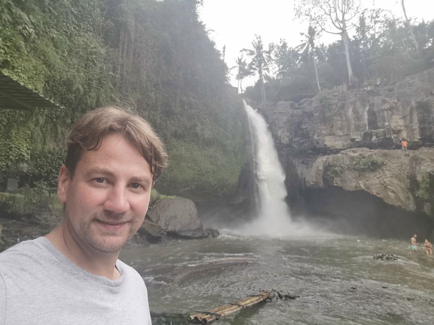 Excursión de un día a Ubud y Tegallalang