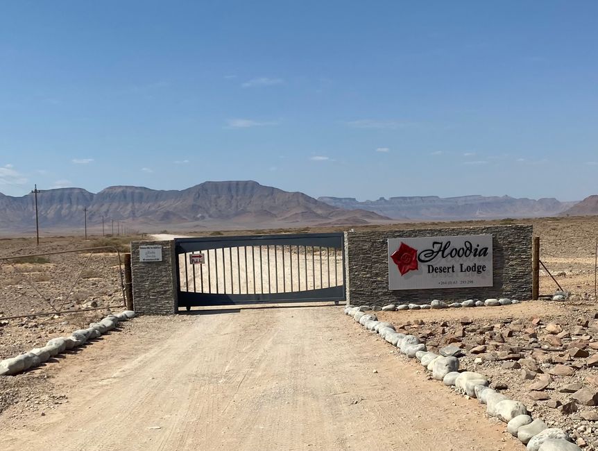 Namibia 2024: Relaxen  in der Wüste