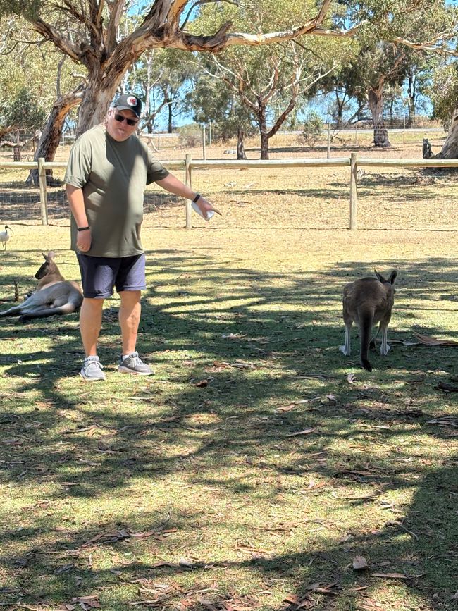 Wiedersehen in Adelaide, 11. und 12.01.25