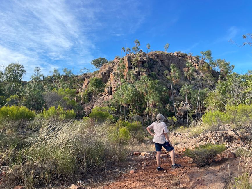 On the way to Pat's Lookout
