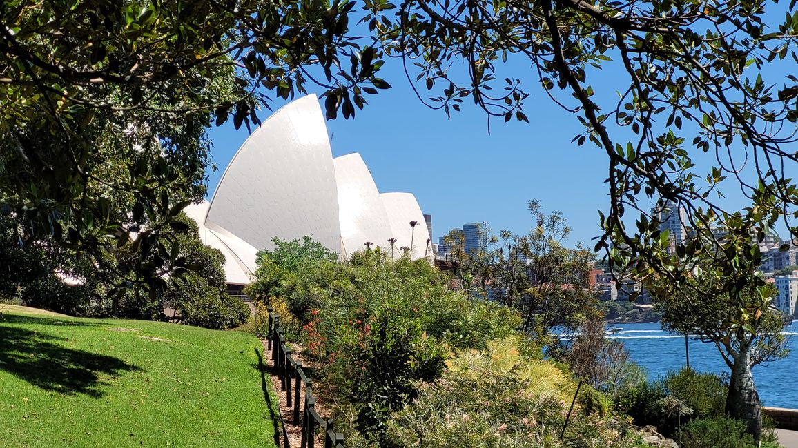 Heute königliches Programm – Royal Botanical Garden in Sydney