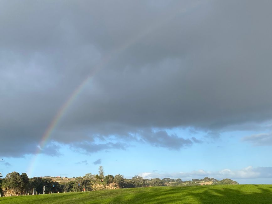 De whangarei à auckland