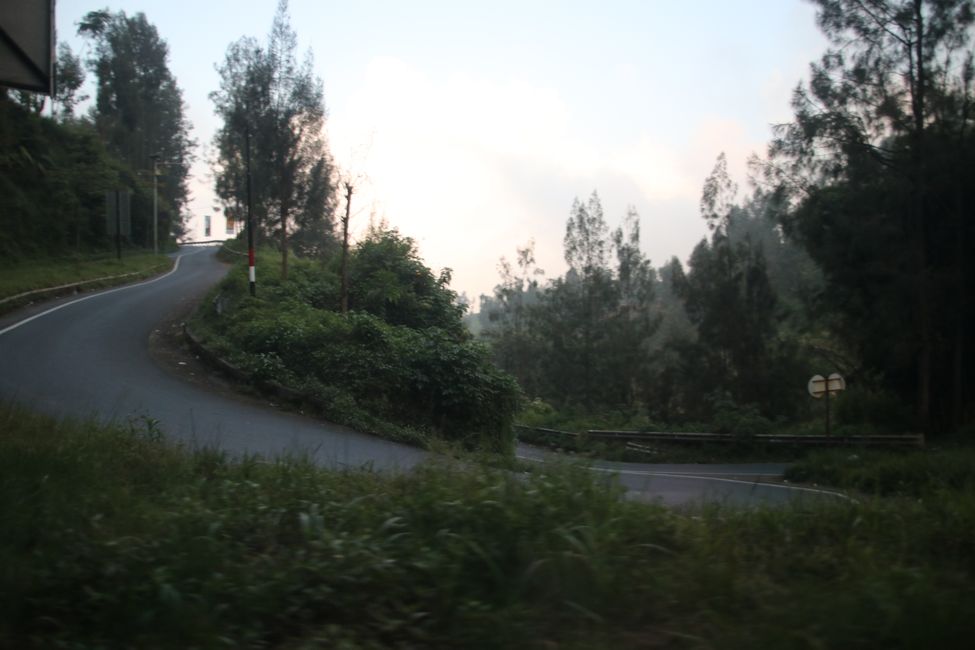 Tag 7 : Malang, thé et un volcan