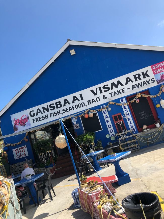 Der Vis Markt direkt am Hafen