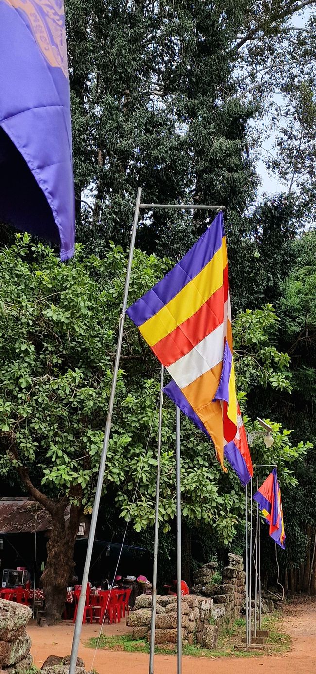 Narrhallamarsch 😅