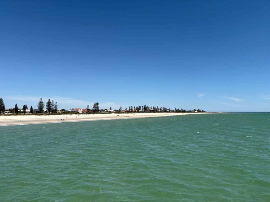 Wiedersehen in Adelaide, 11. und 12.01.25