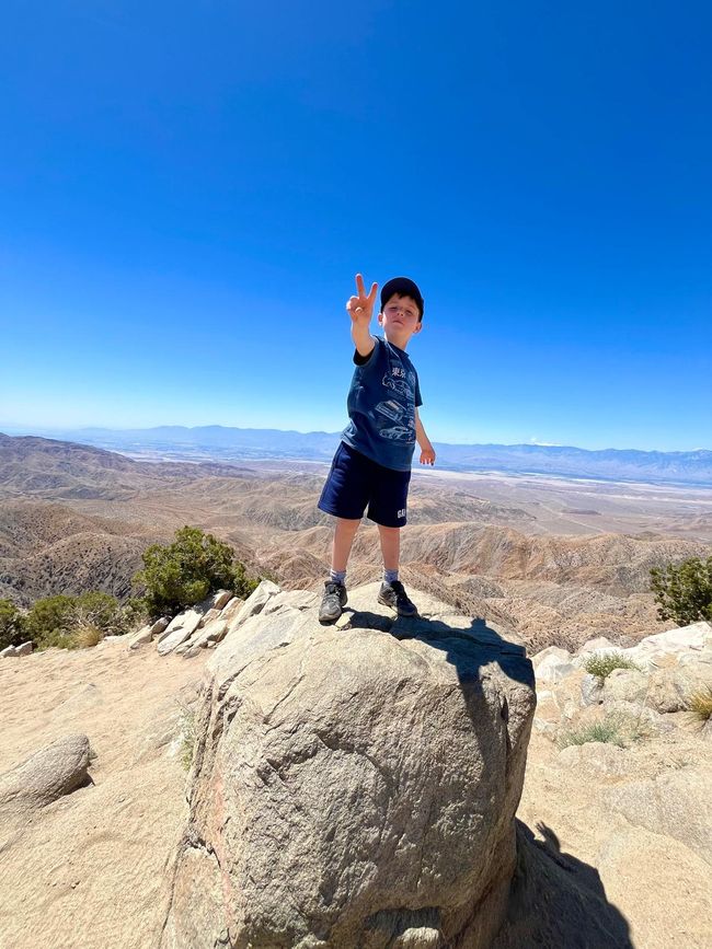 Parc national de Joshua Tree