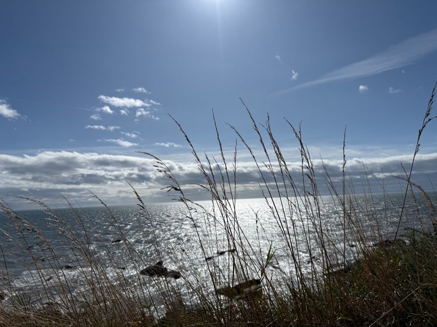 Arbroath, Smokies und Klippen