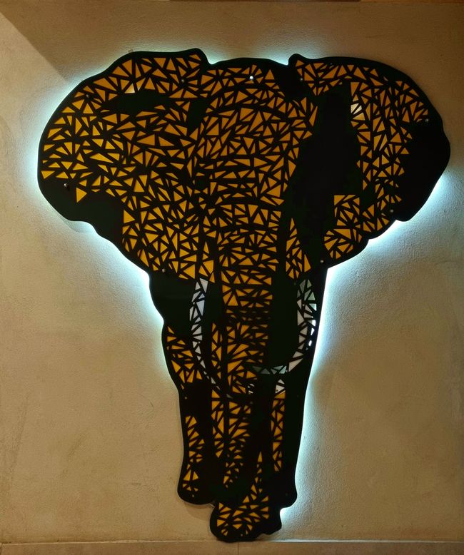 Simbabwe / Botswana 2024