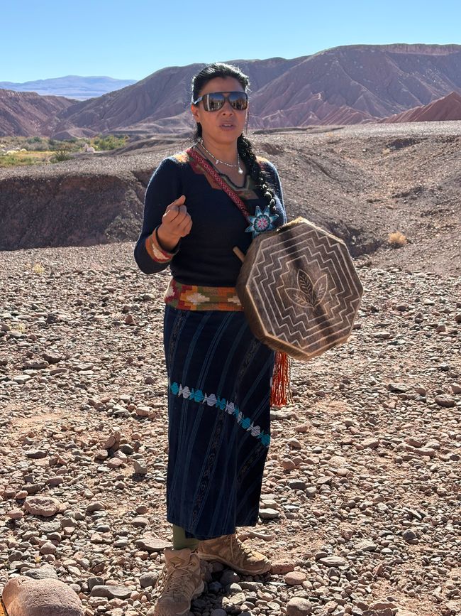 Désert d'Atacama 🦙🦩🌵