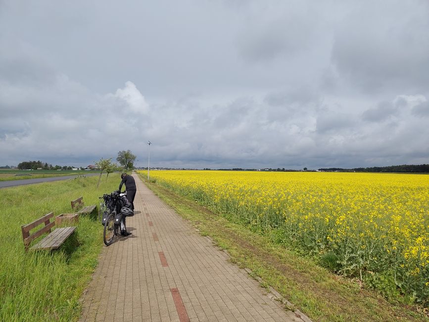 Strahlende Farben