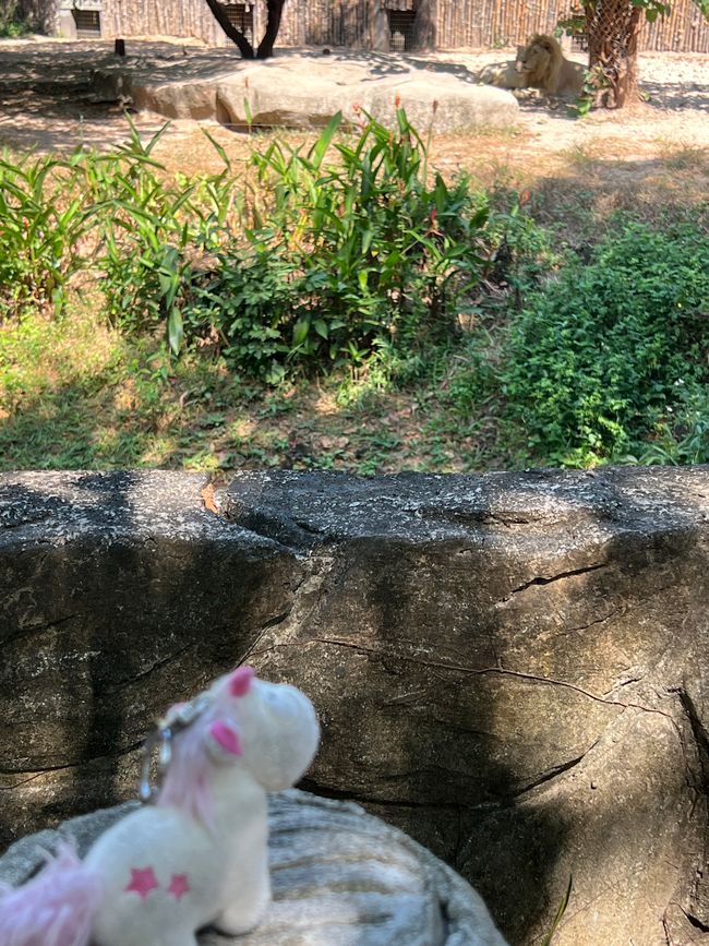 Tag 16 - Phu Quoc: Tierische Higloghts und glitzerndes Einhorn
