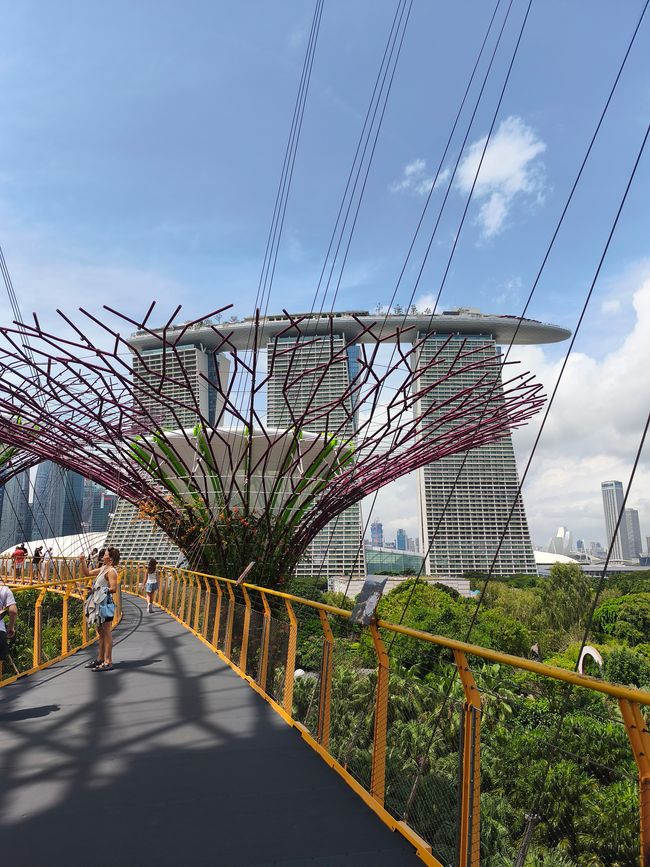 Heute mit dem Fahrrad unterwegs