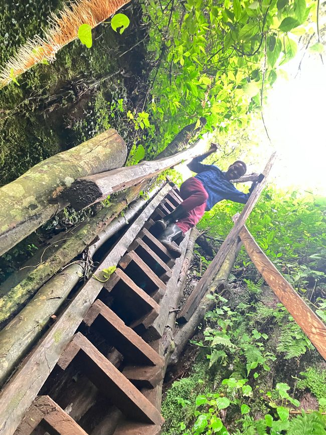 El Este en el Monte Elgon