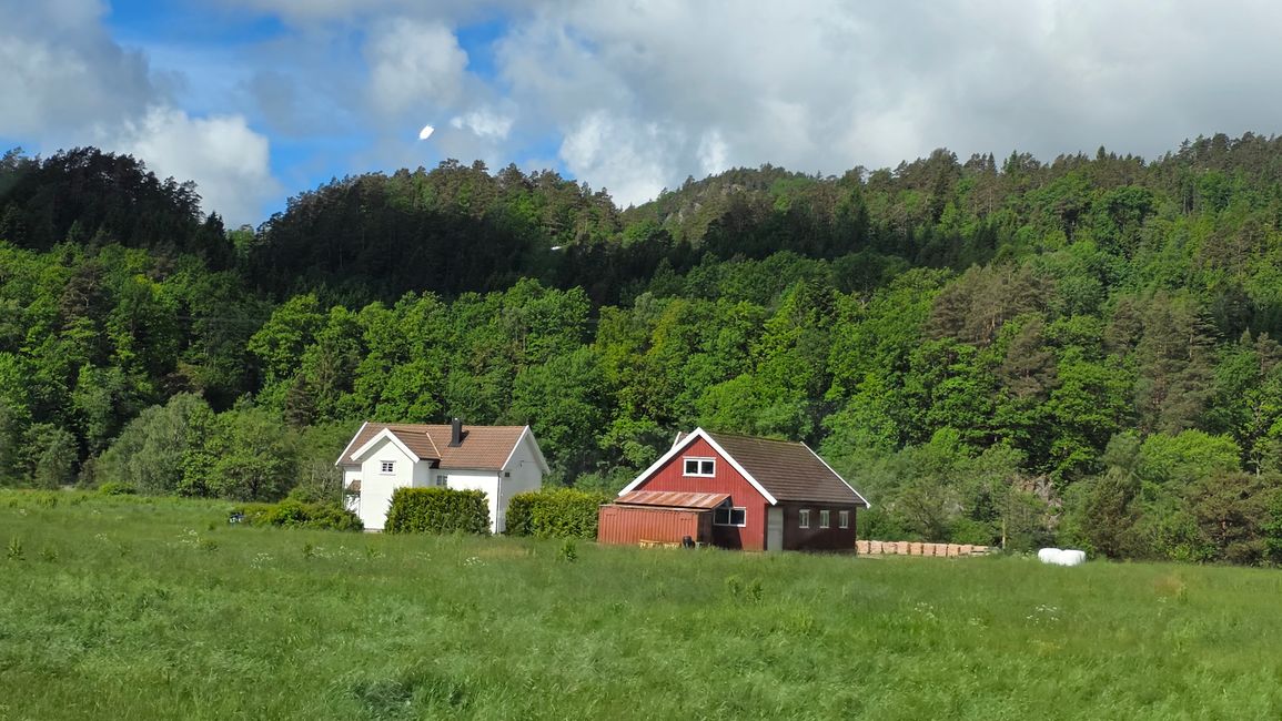 Isola Runde-Sud Norvegia
10 Giugno 2026