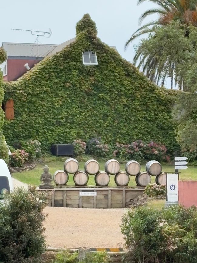 Più mare e più vino