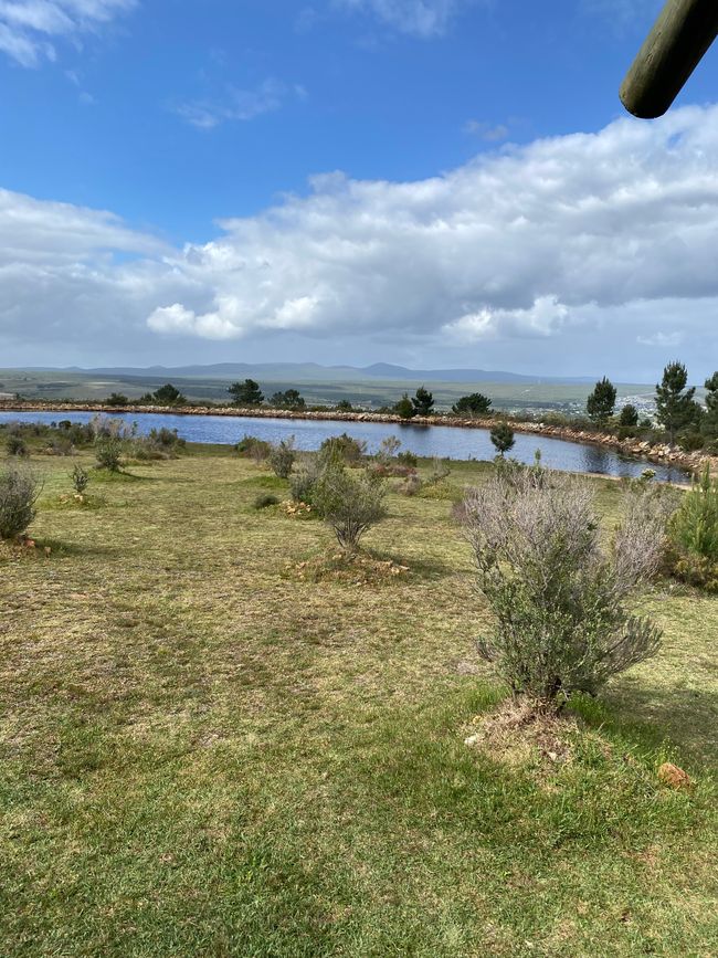 Nächster Stop AfriCamps