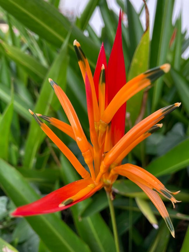 Der Radius erweitert sich langsam