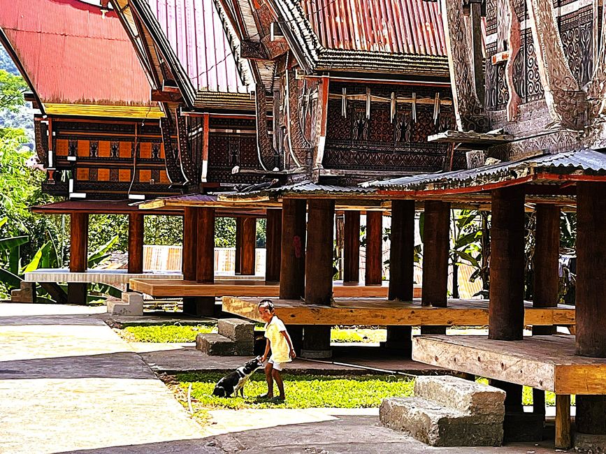 Typisches Dorf in Toraja