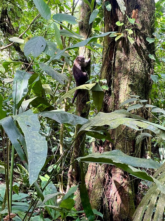 Die Entdeckung der Langsamkeit