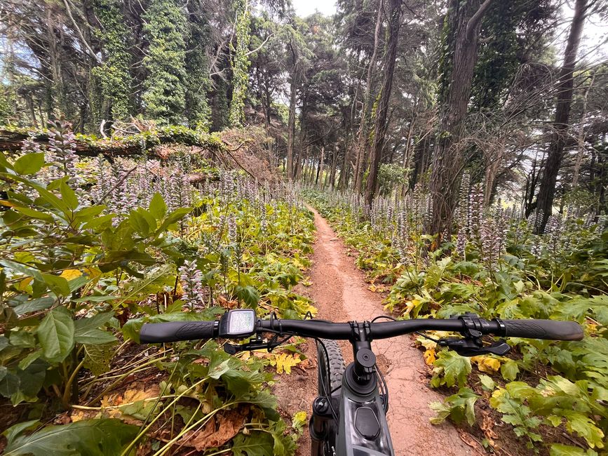 Bike tour in the Cascais-Sintra Nature Park between heaven and clouds
