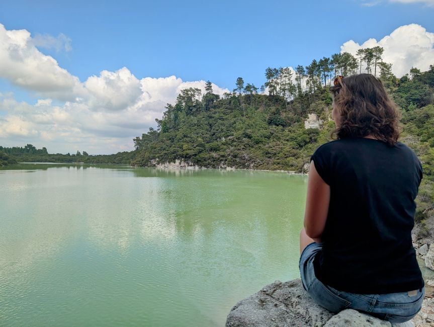 Wai-o-Tapo & Lake Aniwhenura: Ein Tag voller E