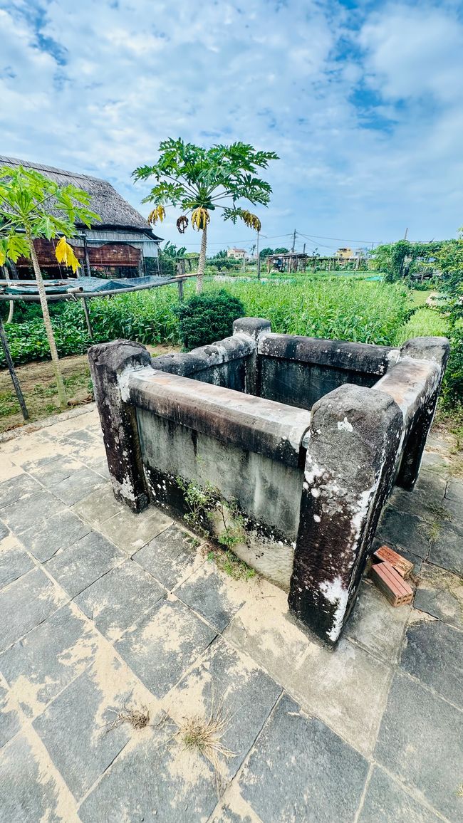 Llegada a Vietnam