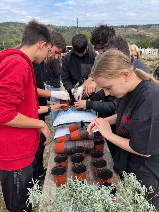 Nature, animaux et solidarité : notre excursion à « Royal Lavendel » à Florești