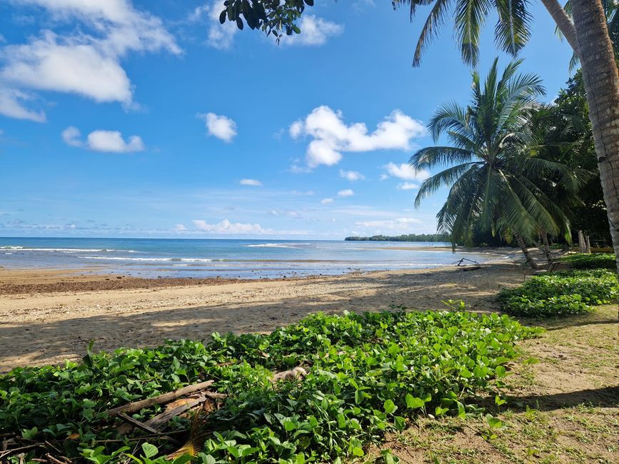 Plage devant la cabane