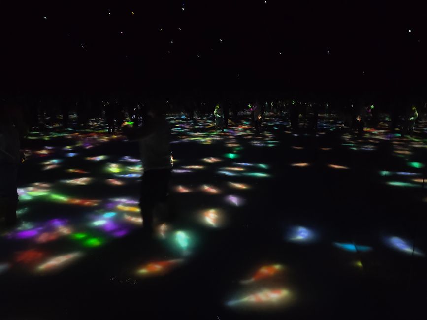 Viel zu sehen und zu erleben – teamLab und Gundam