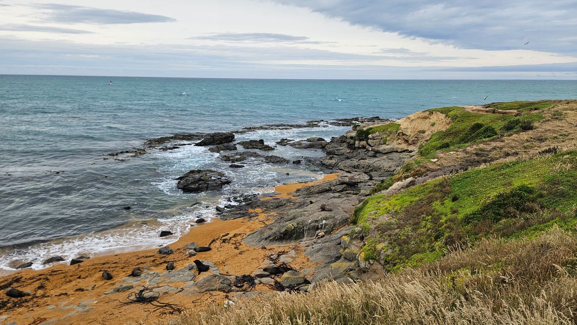 Timaru - Oamaru - Moeraki - Dunedin - Otago Peninsula - Oamaru