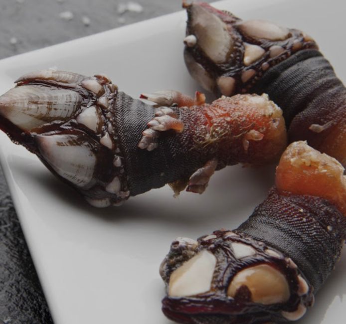 Percebes - ¡una delicia preciosa del mar!