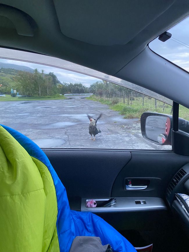 Verso Karamea