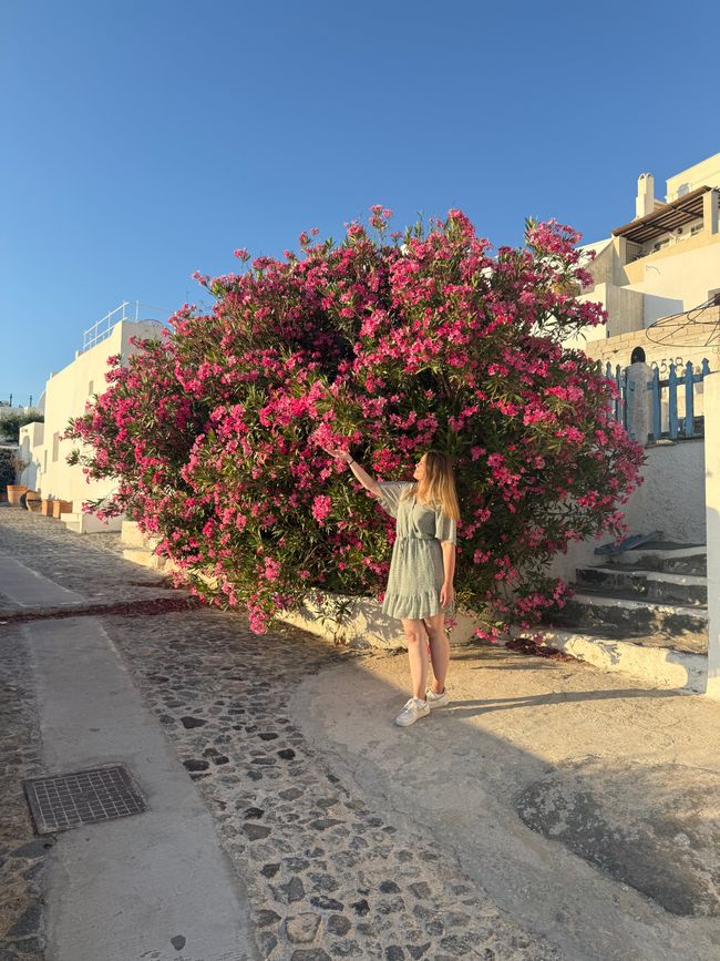 📍Fira, Santorini