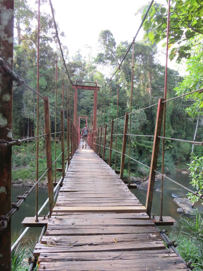 Sinharaja - l'ultima foresta pluviale dello Sri Lanka