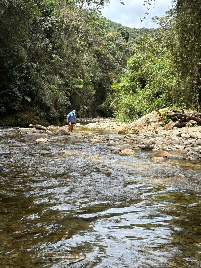 Semaine 26-28 : Au revoir, Colombie