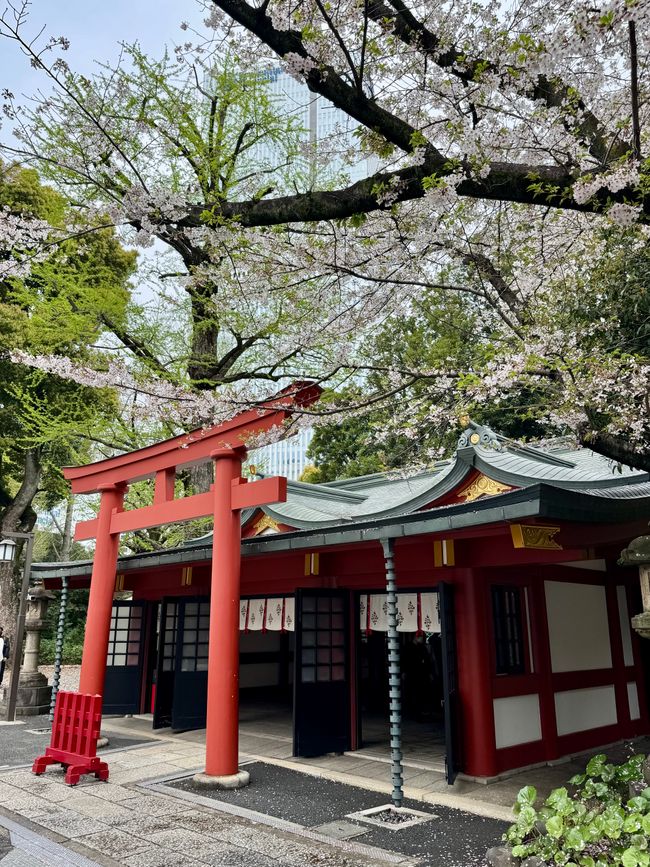 Parte 7
BENVENUTO IN GIAPPONE 🇯🇵
TOKYO