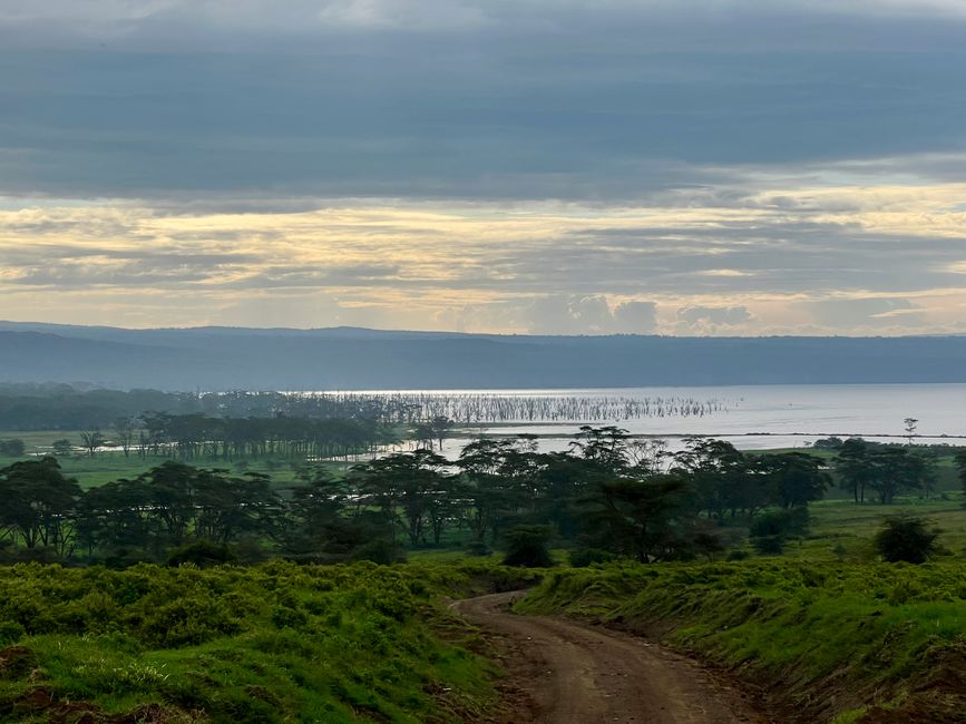 Flamingo tented camp at Lake Nakuru