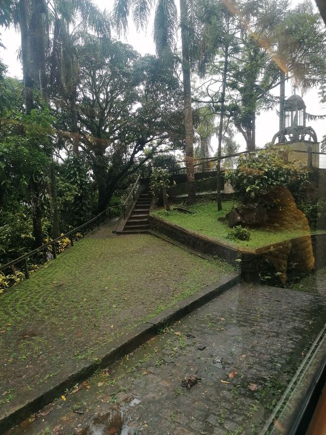 Brasil, Curitiba y viaje en tren por la selva tropical